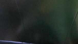 Train wank
