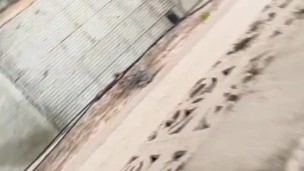 Cute girl does pee in her shorts and made a double waterfall