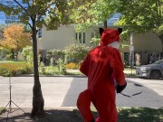 Swiper No Swiping! - Screenshot 5 of 16 - Black