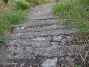 PASE POR UNA ZONA PELIGROSA Y TUVE QUE SOMETERME A COJER CON UN LADRÓN 1/16