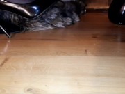 The slave worships the legs in pointed shoes. Shoes fetish. The slave kisses and licks the shoes. 7/16