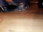 The slave worships the legs in pointed shoes. Shoes fetish. The slave kisses and licks the shoes. 8/16