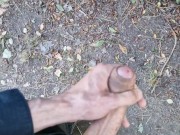 Publicly Jerking it in Budapest suburbs