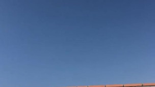 Sunbathing/ tomando el sol ☀️ 