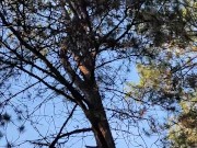 I breathe fresh air 13/16