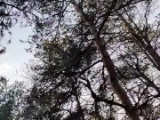 I breathe fresh air 14/16