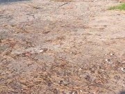 I breathe fresh air 3/16