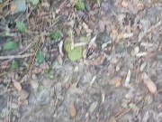 I breathe fresh air 5/16