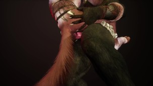 Rough Furry Sex Animation