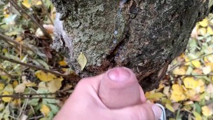 Cumshot on cruiser´s cum on the tree