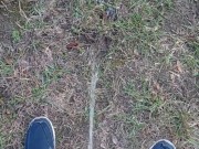 Backyard Pissing 15/16