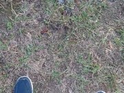 Backyard Pissing 16/16