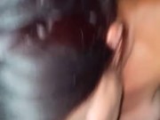 Cocksucker Kitty  4/16