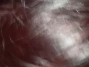 Cocksucker Kitty  5/16