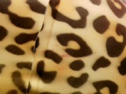 Dominatrix Nika sits her latex booty on the face of a fenized sissy man. Ass worship. 12/16