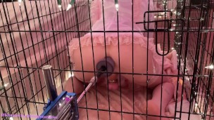 sissy gets caged and trained by a femboy