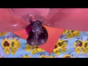 JADEE’S RIDING CREAMY SQUIRT  12/16