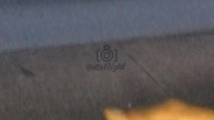 Behind The Bushes on A Busy Road (Do you think anyone saw?)