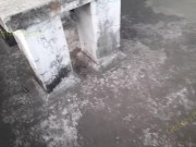 চরিত্রহীন বৌদিকে ছাদে গিয়ে চুদলাম - Bengali Bhabi Looks beautiful in Red Saree 1/16