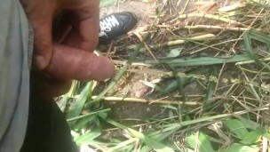 Orinando en el campo