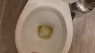 Toilet piss