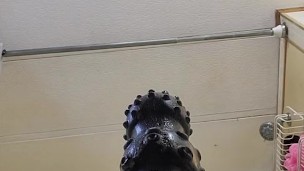 Riding giant dildo hard in ass