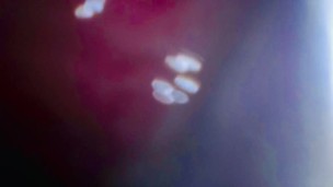 Internal view of me cumming inside previously creampied Fleshlight Quickshots