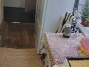 Have a nice time in the kitchen 11/16