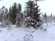 Sex in the winter forest while the snow is falling - RosenlundX - VR 360 - 5,7k 30fps 1/16