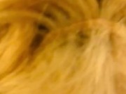 Going in! Pop rock Sex candy part 2! Sucking bbc!💋👌🏾😅🍭 🍬