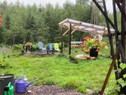 Couple making love in the summer rain - RosenlundX - 4k 60fps 4/16