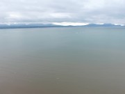 It's wednesday my step-dudes 1/16