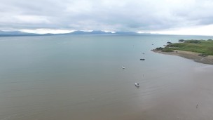 It's wednesday my step-dudes