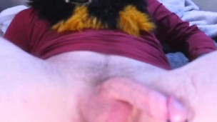 Hot furry Liger getting hole stretched