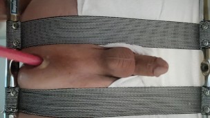 Prostate play