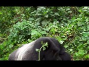 SUNNY SEX IN AFRICA - LUNA'S JOURNEY (EPISODE 28) 15/16