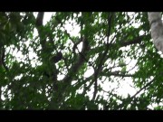 SUNNY SEX IN AFRICA - LUNA'S JOURNEY (EPISODE 28) 9/16