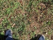 Backyard Pissing 10/16