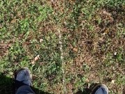 Backyard Pissing 12/16