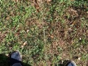 Backyard Pissing 13/16