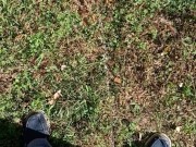 Backyard Pissing 15/16