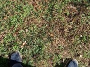 Backyard Pissing 16/16