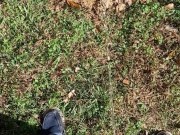 Backyard Pissing 3/16