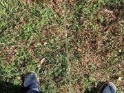 Backyard Pissing 4/16