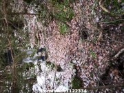 I met stranger girl in public park which sucked off my cock with facial and ate cum 16/16