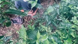 A View From Above - Forest Masturbation
