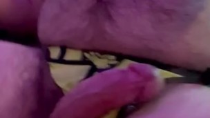 Hairy Bear Cums Quick When Knotted