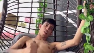 Paja Diaria