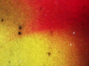 BLACKTGIRLS: Gorgeous young black Tranny with Braces on her teeth masturbates her ass with her fingers 1/16