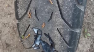 Motard en balade lâche son foutre